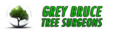 Tree Services in Owen Sound - Logo